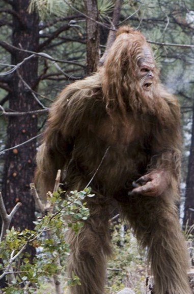 SASQUATCH aka Bigfoot | The Abominable Snowman aka Yeti