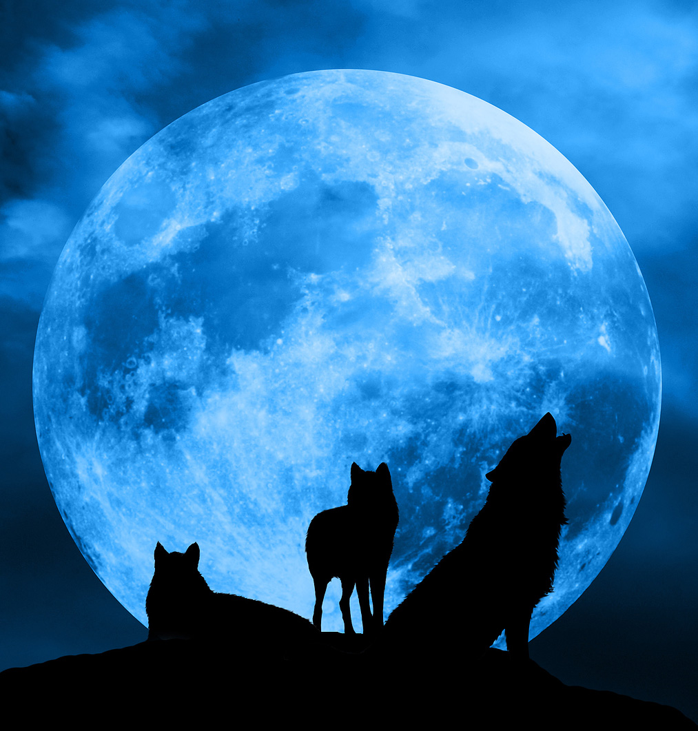 Blue Moon Werewolf Warning | Paranormal Activity Forecast