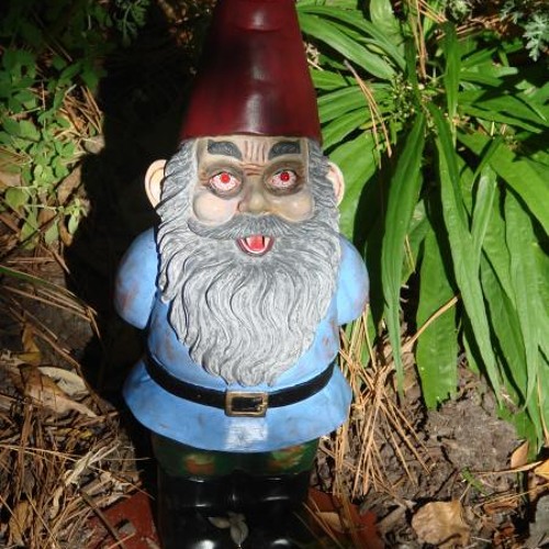 Image result for gnomes