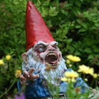 Crazed Gnome