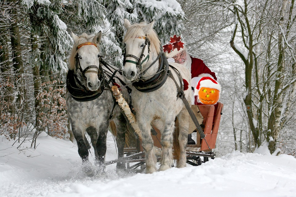 Christmas-Halloween-Santa-Sleigh