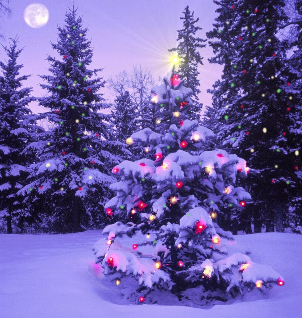 When Does The Christmas Season Officially Begin? - Mystic Christmas Blog