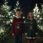 Physical Christmas Spirit-WM