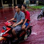 Indonesian Village Flooded With Blood From Vampire Harvesting Operation