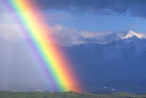 Mystical Rainbow