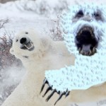 polar-bear-fighting-abominable-snowman-yeti