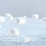 Snow Rollers