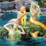 Sun Bathing Mermaids