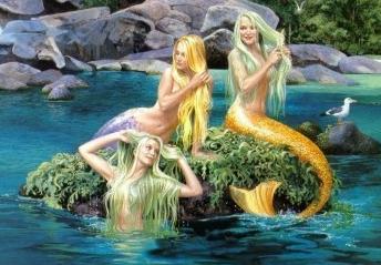 Mermaids-Sun-Bathing