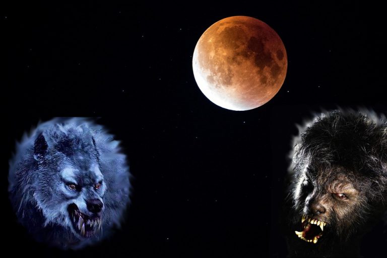 How To Repel A Werewolf Ask Mystic Investigations