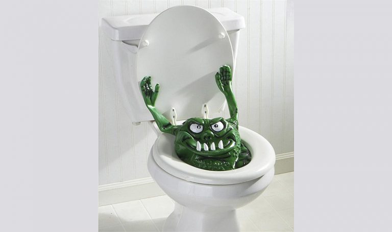 What Are Toilet Monsters? | Ask Mystic Investigations