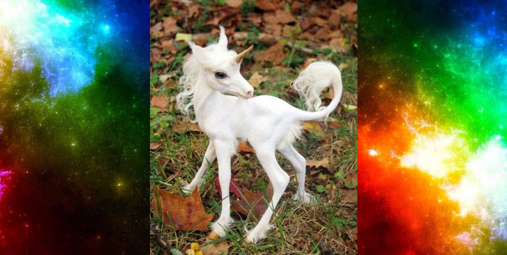 Can Unicorns Have Babies? Ask Mystic Investigations