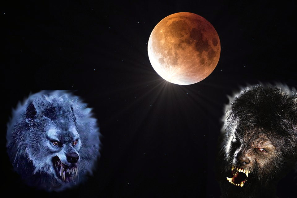 How To Repel Werewolves