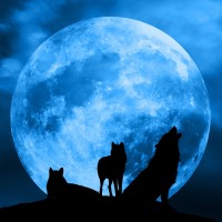 Blue Moon Werewolves