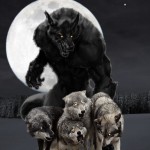 Werewolf Commands Wolf Pack