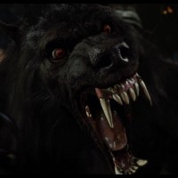 Hellishly Enraged Werewolf