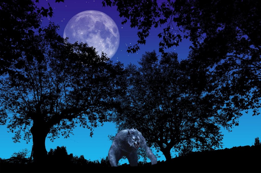 A Werewolf Watch Is In Effect! Paranormal Activity Forecast