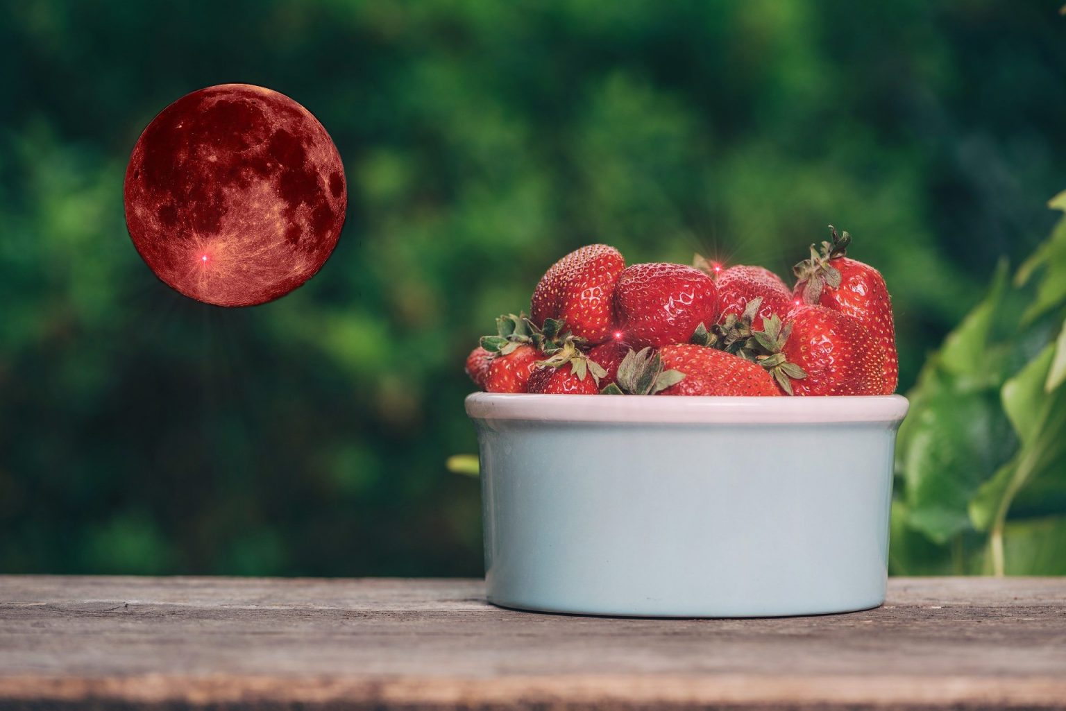 strawberry little moons