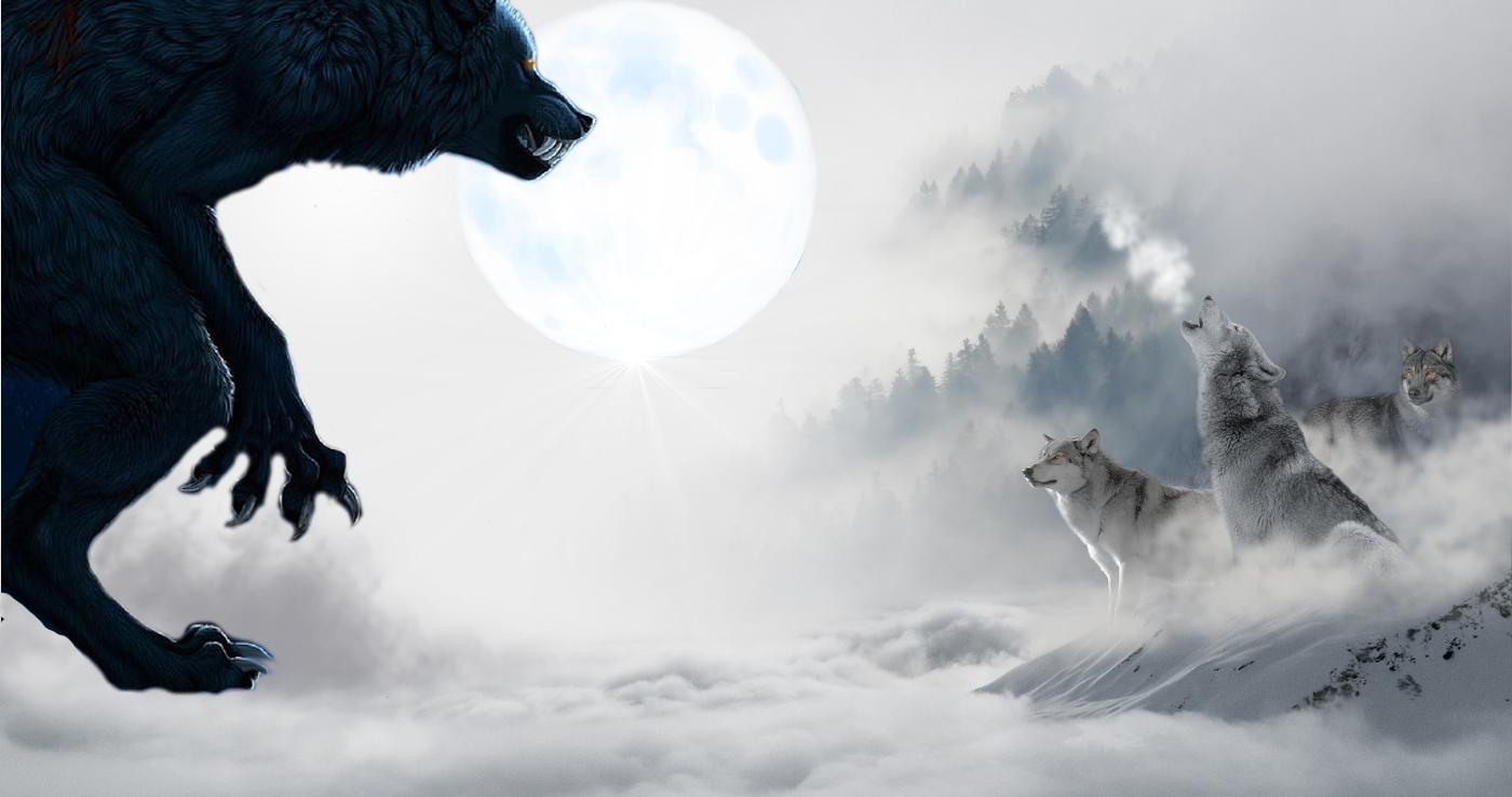 The Woeful Wolf Moon Werewolf Warning