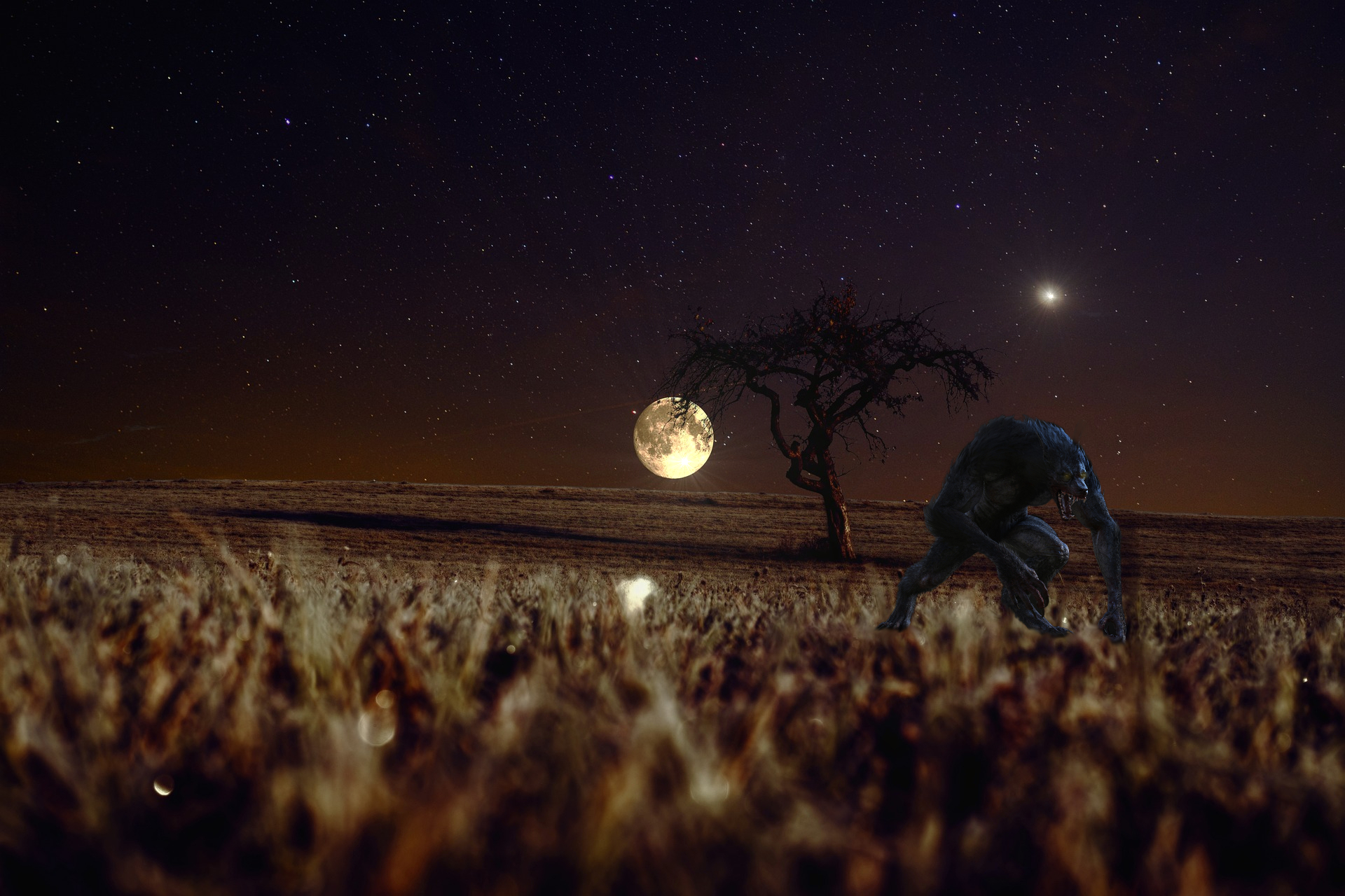 Harvest Moon Werewolf Hunting Down A Foolish Farmer!