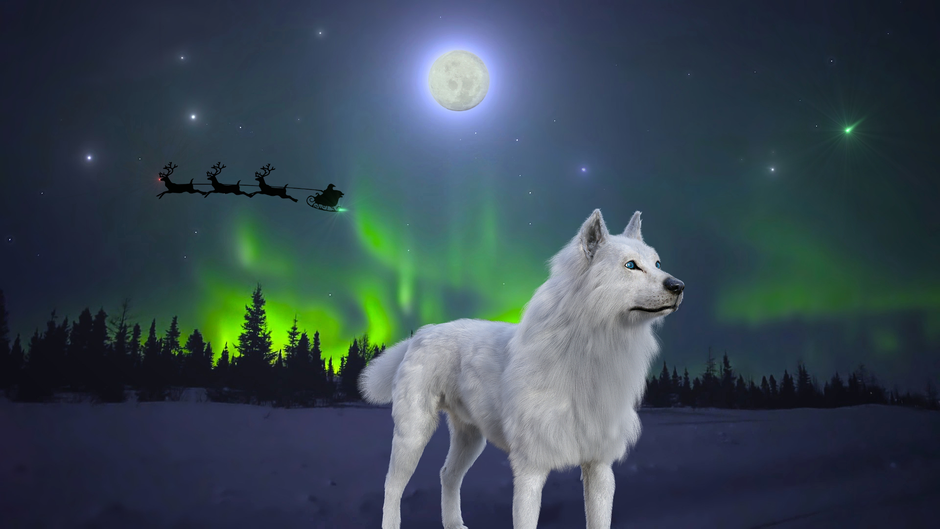 The White Wolf Of The Holy Yule Christmas Moon!