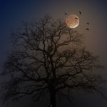 The Supernatural Full Moon Forecasts Of 2021