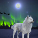 The Supernatural Full Moon Forecasts Of 2023