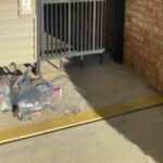 Walmart Grocery Delivery