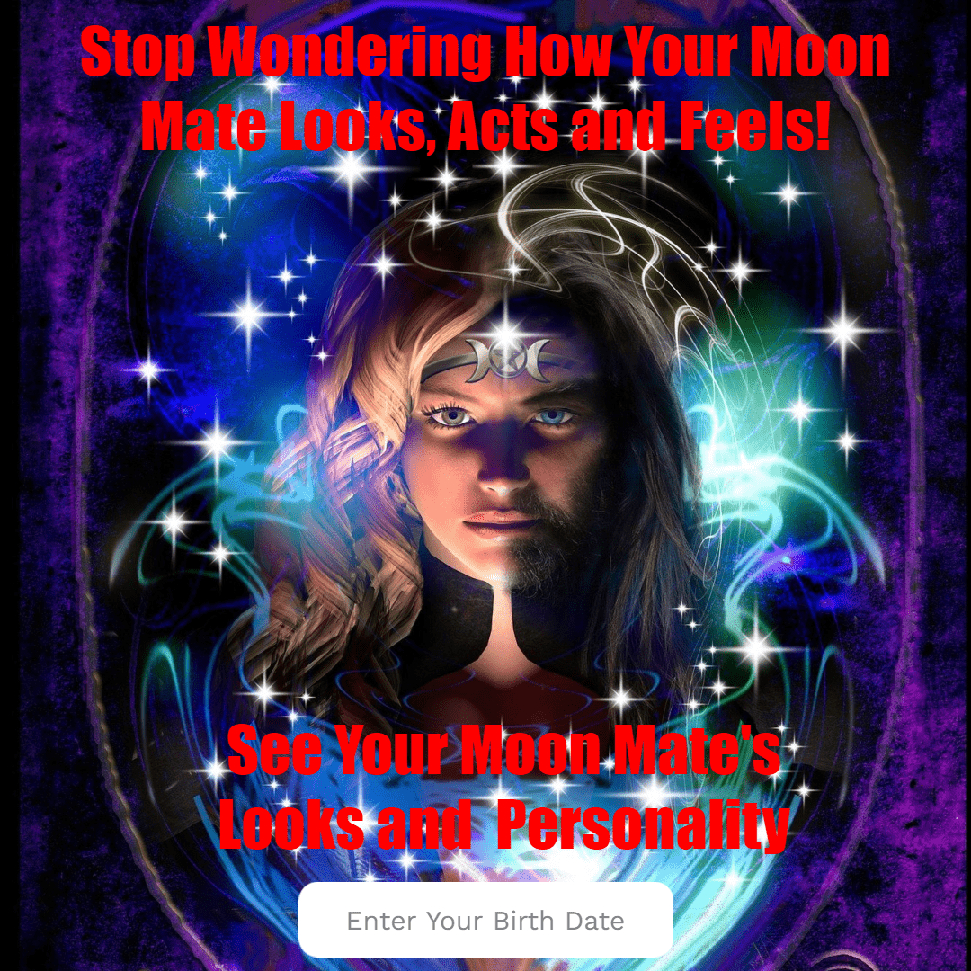 Find Your Moon Mate!